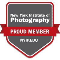 Edify NYC Certificate